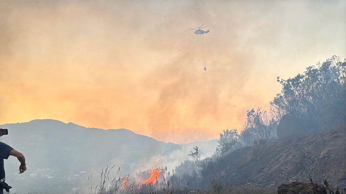 Antalya'nın Alanya ilçesinde ormanlık alanda çıkan yangına müdahale ediliyor. 