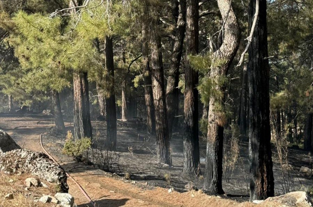 Antalya'nın Kaş ilçesinde ormanlık alanda çıkan yangın ekiplerin müdahalesiyle...