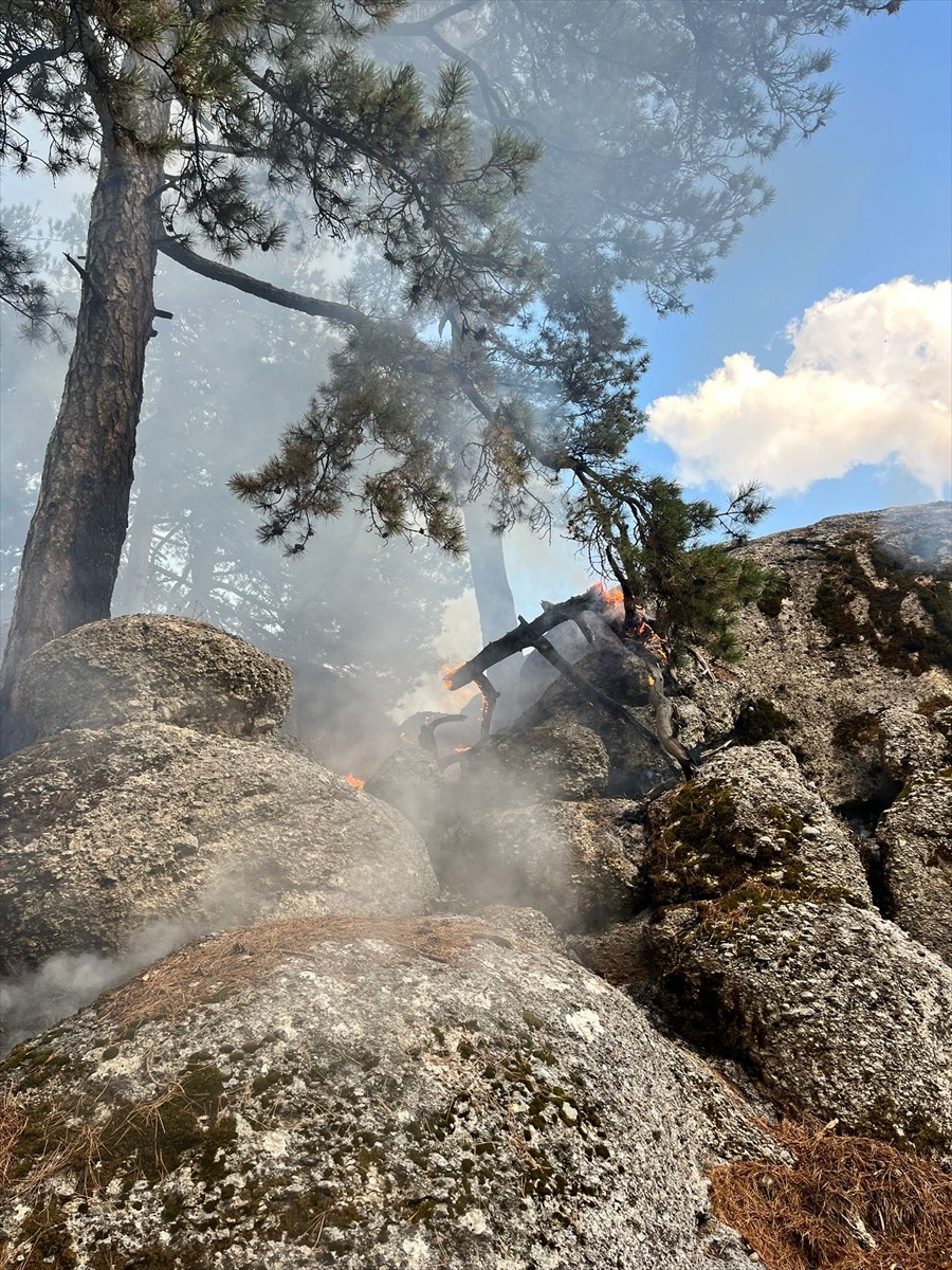 Antalya'nın Manavgat ilçesinde çıkan orman yangını kontrol altına alındı. Havadan ve karadan...
