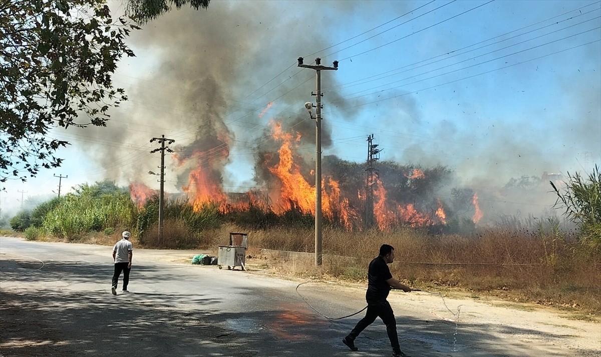 Antalya'nın Manavgat ilçesinde sazlık alanda çıkan yangın itfaiye ekiplerinin müdahalesiyle...