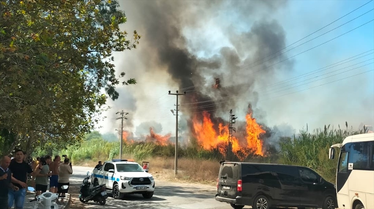 Antalya'nın Manavgat ilçesinde sazlık alanda çıkan yangın itfaiye ekiplerinin müdahalesiyle...