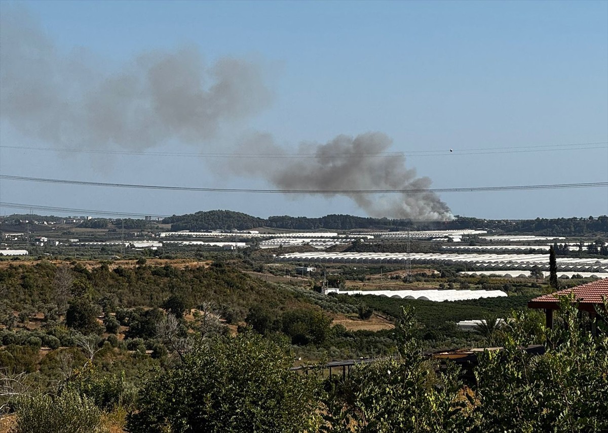Antalya'nın Manavgat ilçesinde tarım arazisinde başlayıp ormanlık alana sıçrayan yangına müdahale...