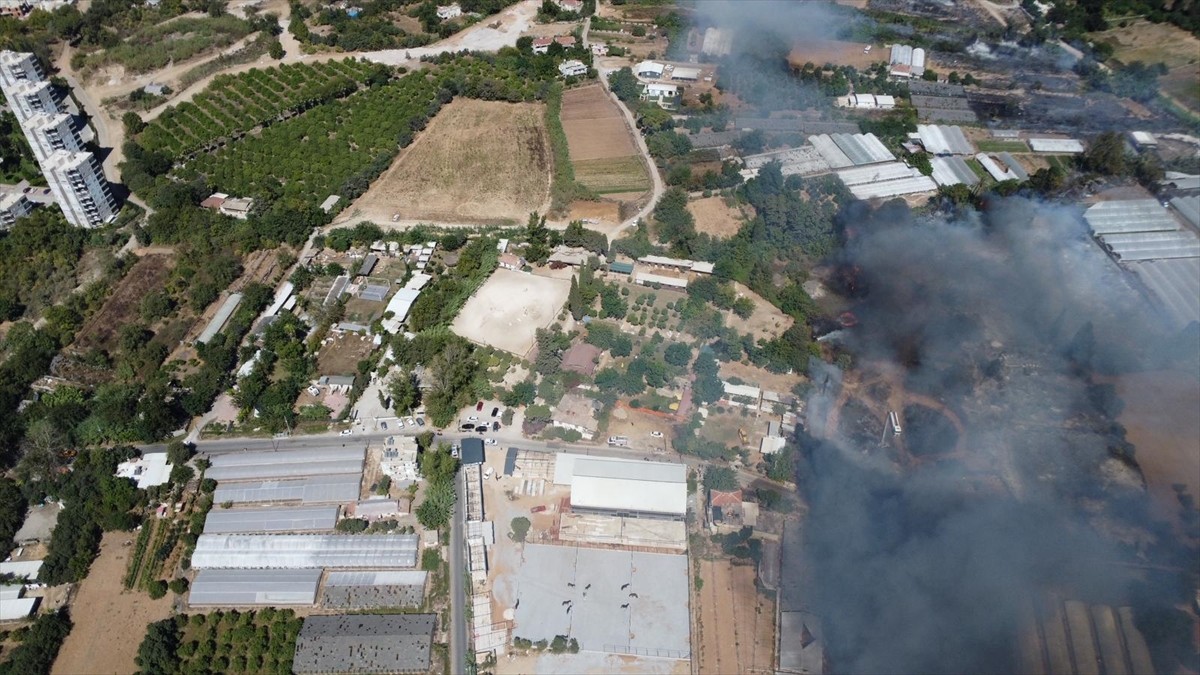 Antalya'nın Muratpaşa ilçesindeki sazlık alanda çıkan yangına müdahale ediliyor.