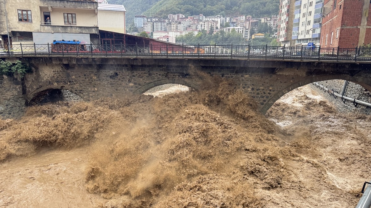 Artvin'in Borçka ilçesinde sağanak nedeniyle taşkın ve heyelanlar meydana geldi.