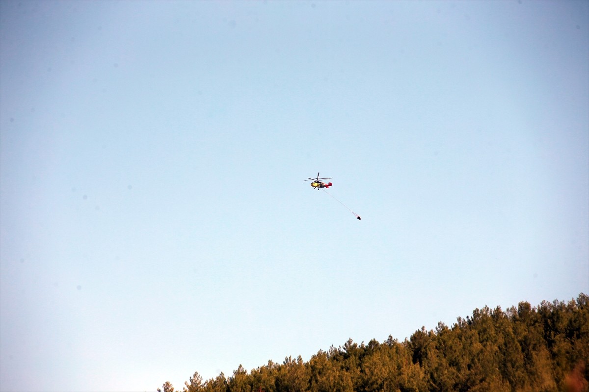 Aydın'ın Çine ilçesinde dün akşam saatlerinde çıkan orman yangınına havadan ve karadan müdahale...