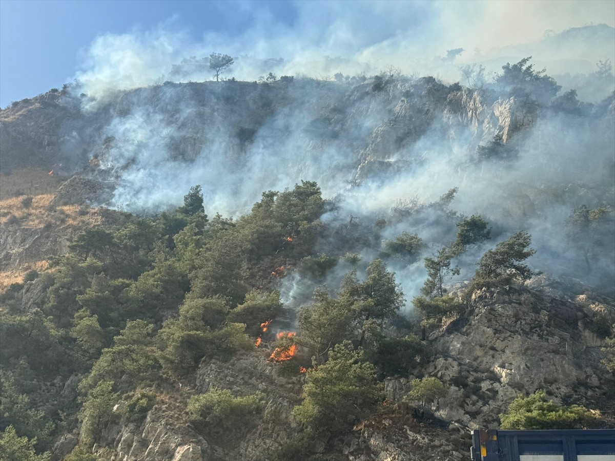Aydın'ın Söke ilçesinde ormanlık alanda çıkan yangına havadan ve karadan müdahale ediliyor.