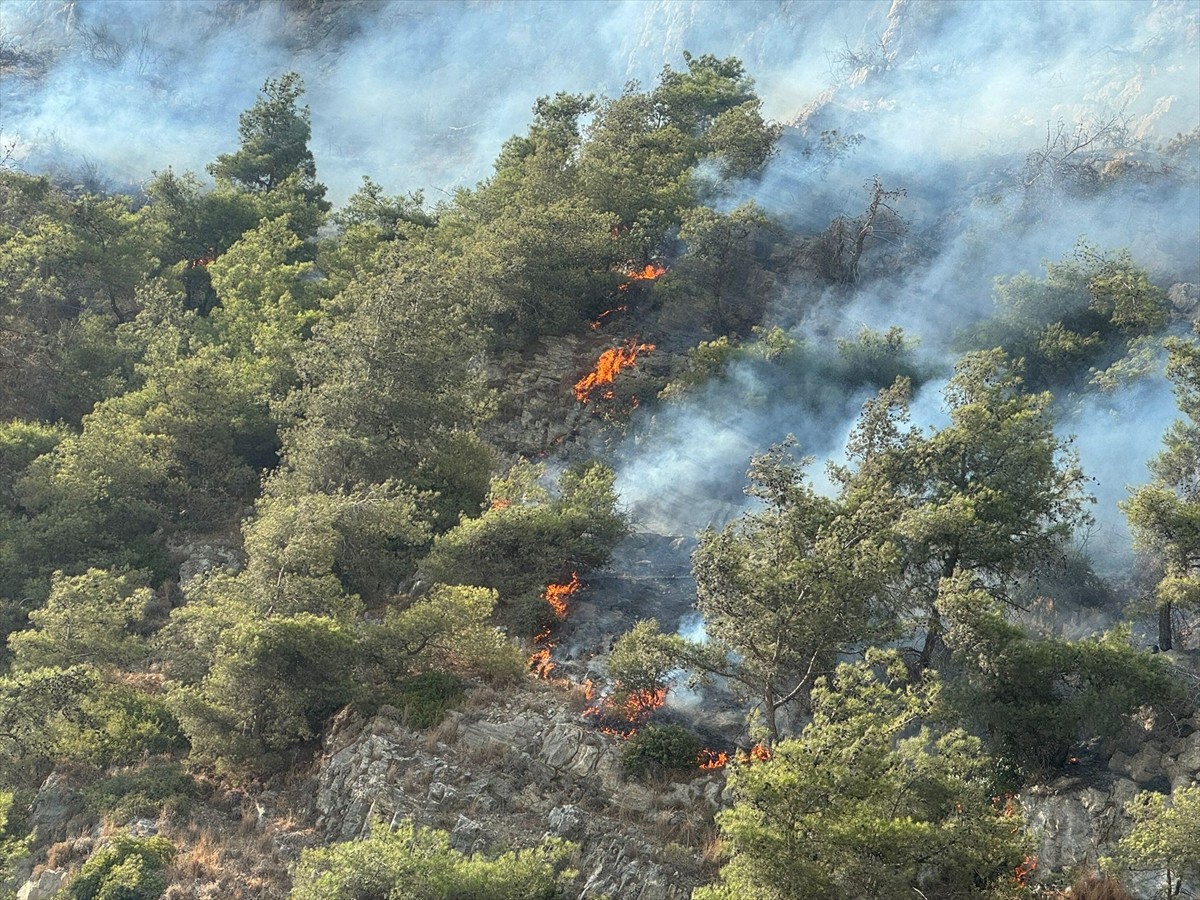 Aydın'ın Söke ilçesinde ormanlık alanda çıkan yangına havadan ve karadan müdahale ediliyor.