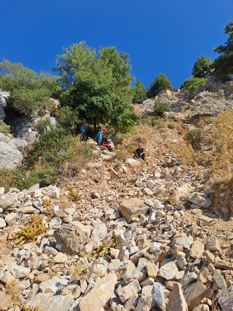 Aydın'ın Söke ilçesinde uçurumdan düşerek yaralanan arıcı, ekiplerin çalışmasıyla...