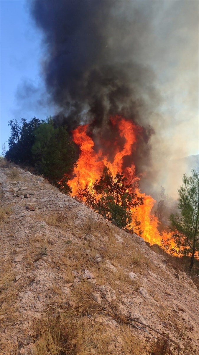 Balıkesir'in Sındırgı ilçesindeki ormanlık alanda çıkan yangın, kontrol altına alınmaya...