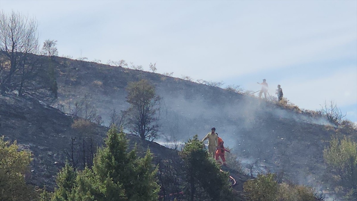 Bingöl'ün Genç ilçesinde çıkan örtü yangını ekiplerin müdahalesiyle söndürüldü.