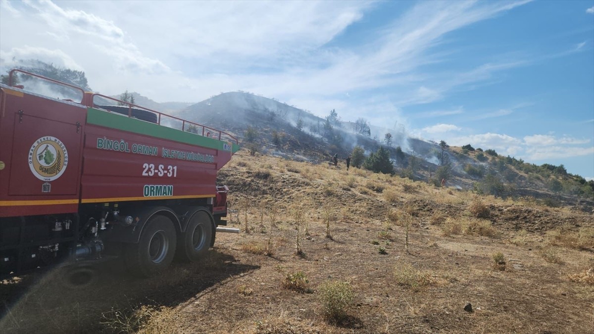 Bingöl'ün Genç ilçesinde çıkan örtü yangını ekiplerin müdahalesiyle söndürüldü.