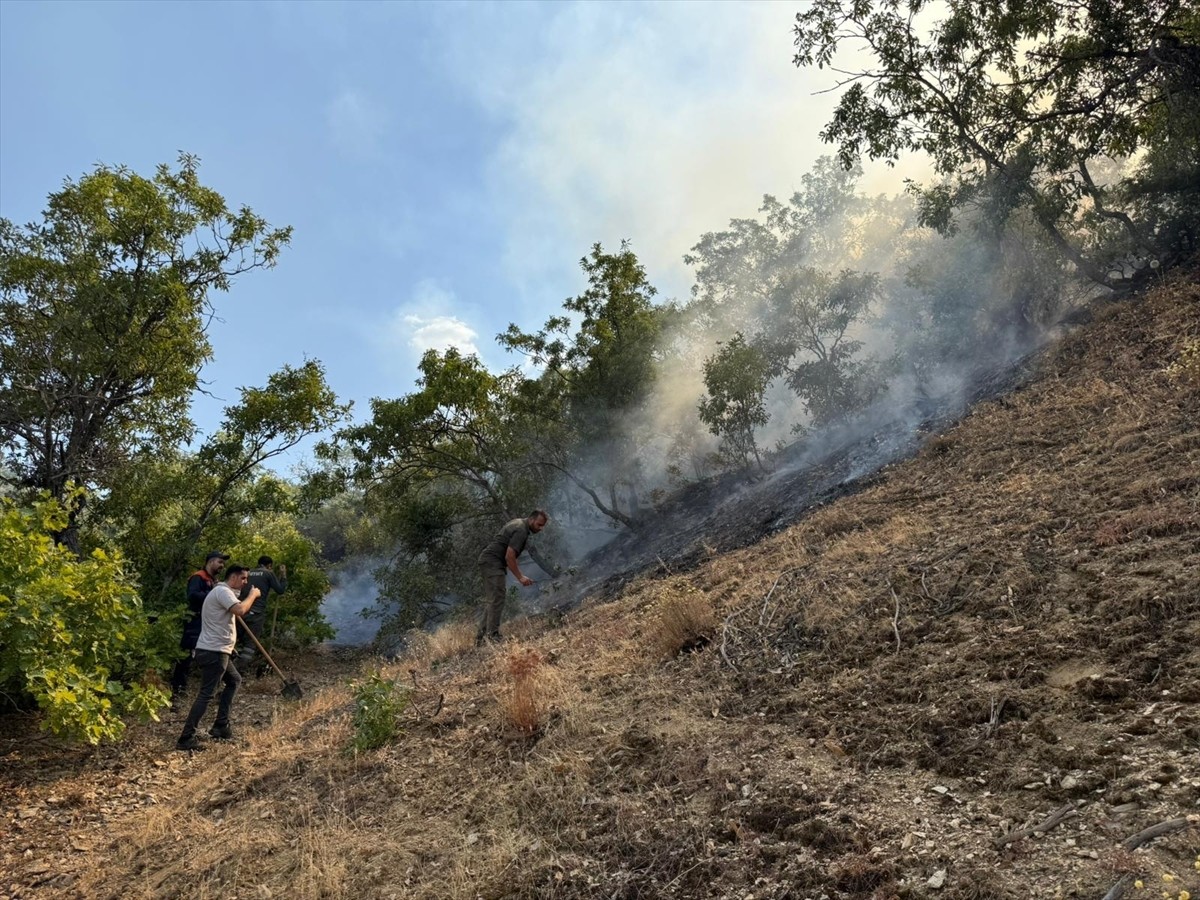 Bingöl'ün Genç ilçesinde ormanlık alanda çıkan yangına havadan ve karadan müdahale...
