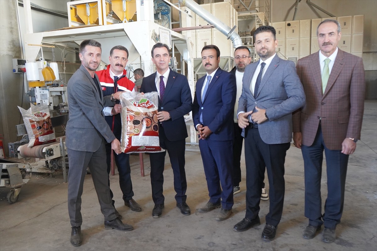 Bitlis merkez ve ilçelerindeki geniş tarım arazilerine ekilen kuru fasulyenin hasadına başlandı....