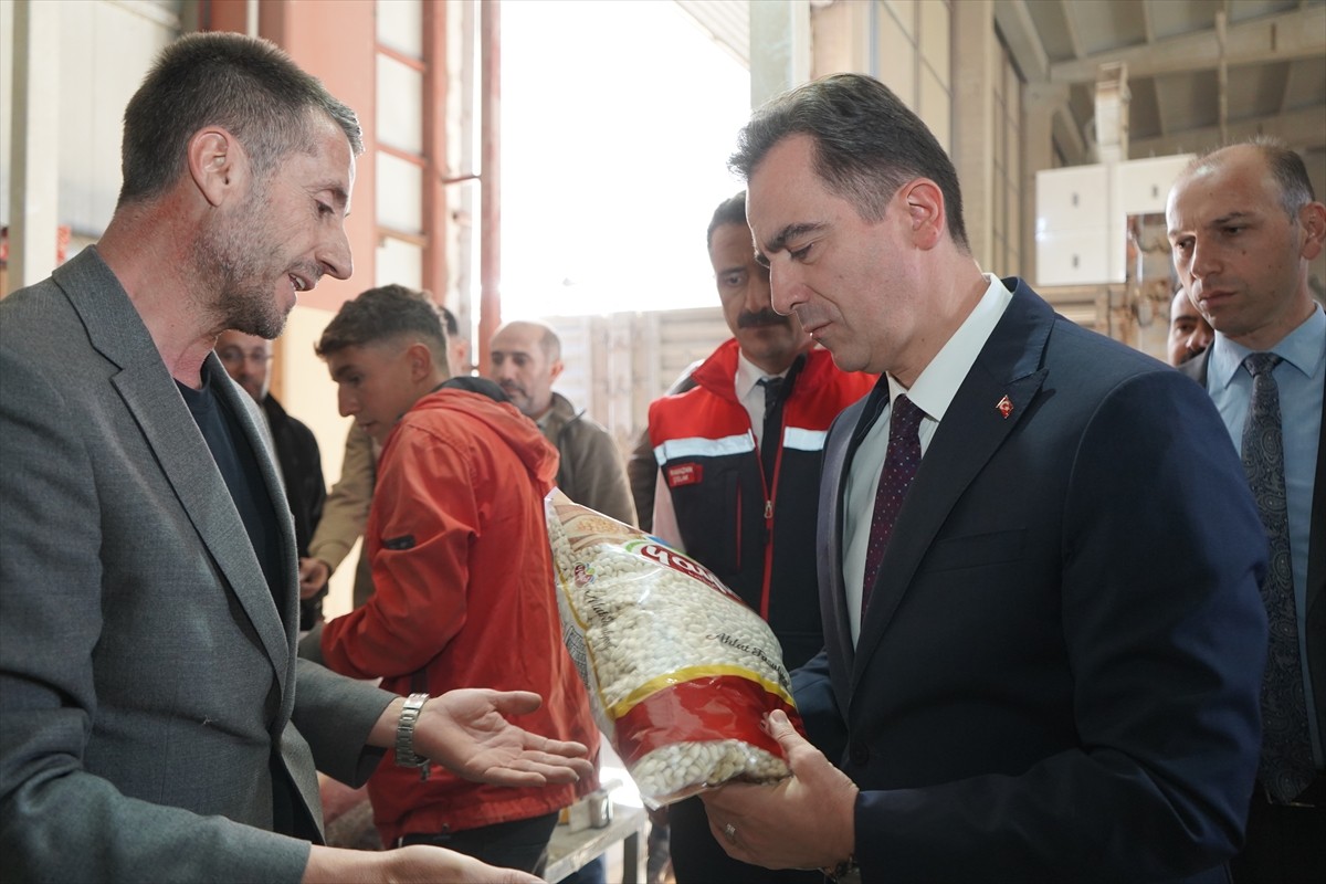 Bitlis merkez ve ilçelerindeki geniş tarım arazilerine ekilen kuru fasulyenin hasadına başlandı....
