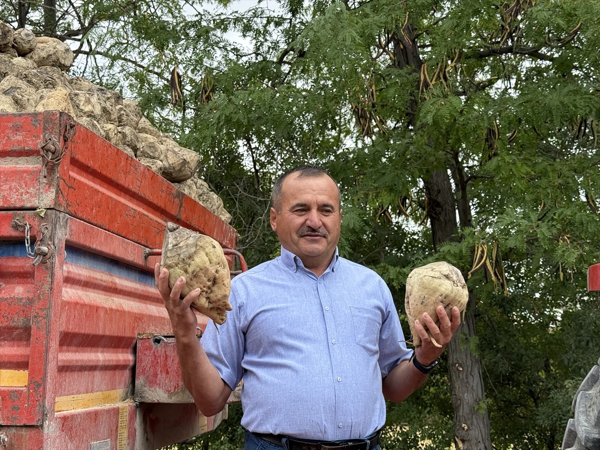 Burdur Şeker Fabrikası'nda 2025-2026 döneminde 560 bin ton pancardan yaklaşık 75 bin ton kristal...