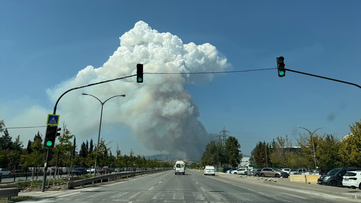 Bursa'nın Osmangazi ilçesinde ormanlık alanda çıkan yangın kontrol altına alınmaya...