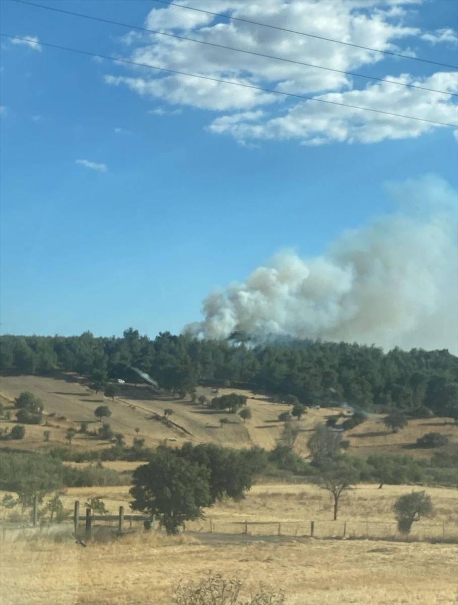 Çanakkale'nin Ezine ilçesinde tarım arazisinde başlayıp ormanlık alana sıçrayan yangına havadan ve...