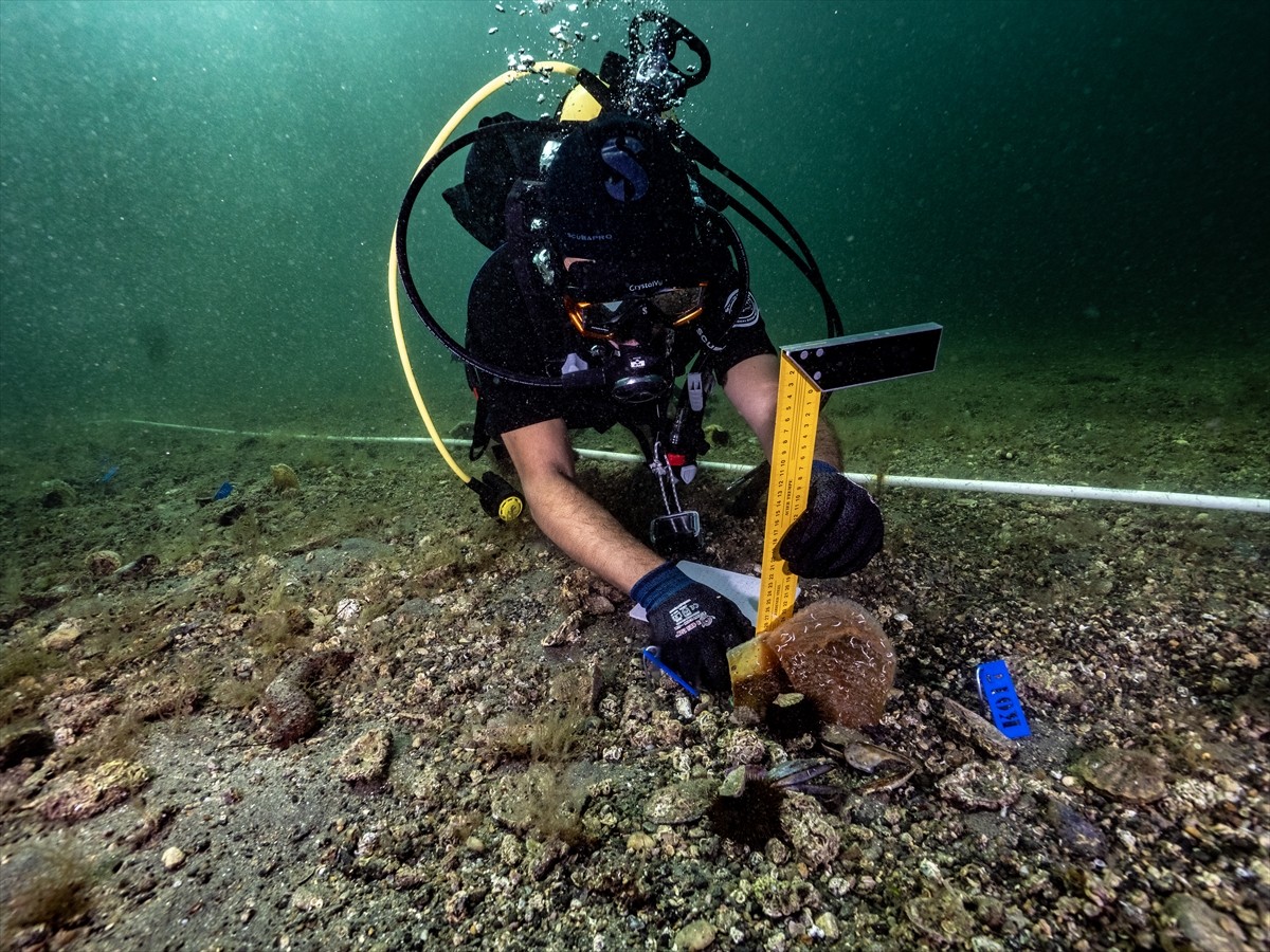 Çevre, Şehircilik ve İklim Değişikliği Bakanlığı, Tabiat Varlıklarını Koruma Genel Müdürlüğü ve...