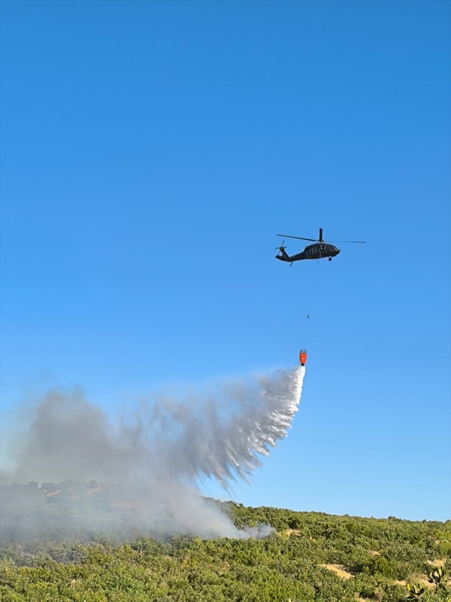Diyarbakır'ın Silvan ilçesinde çıkan örtü yangınına havadan ve karadan müdahale ediliyor.