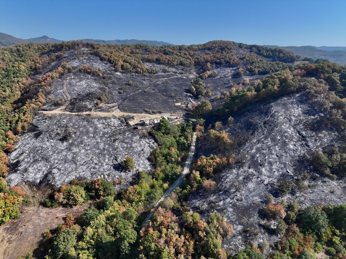 Düzce'nin Yığılca ilçesinde çıkan yangında zarar gören alanlar dronla görüntülendi.