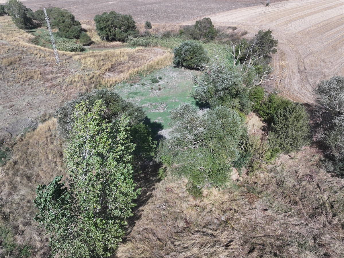Edirne'de merkeze bağlı Musabeyli köyünde bulunan gölet, kuraklık ve sıcaklara bağlı yaşanan...