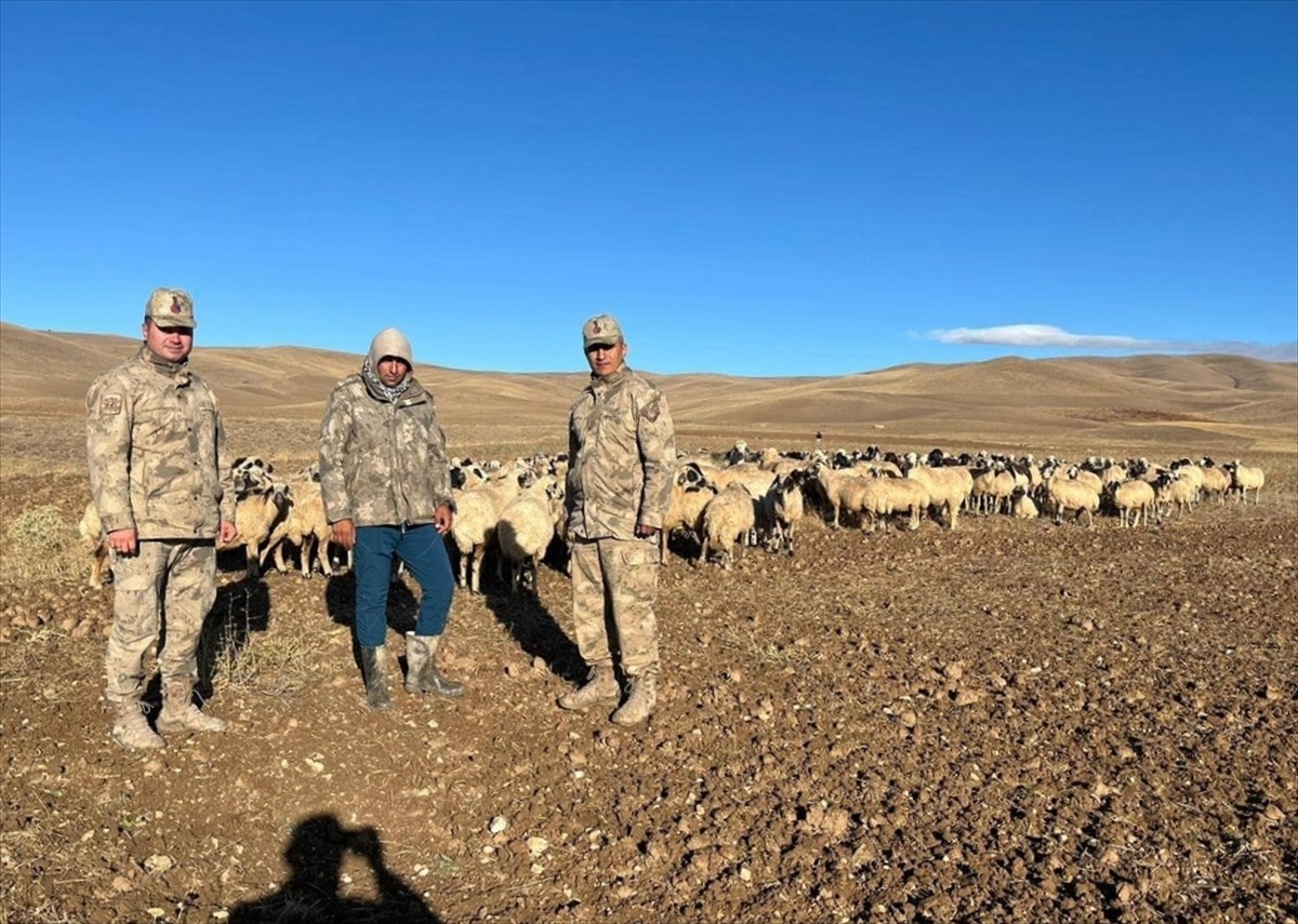 Erzincan’ın Çayırlı ilçesinde dağlık arazide kaybolan 300 koyun, jandarma ekiplerince insansız...
