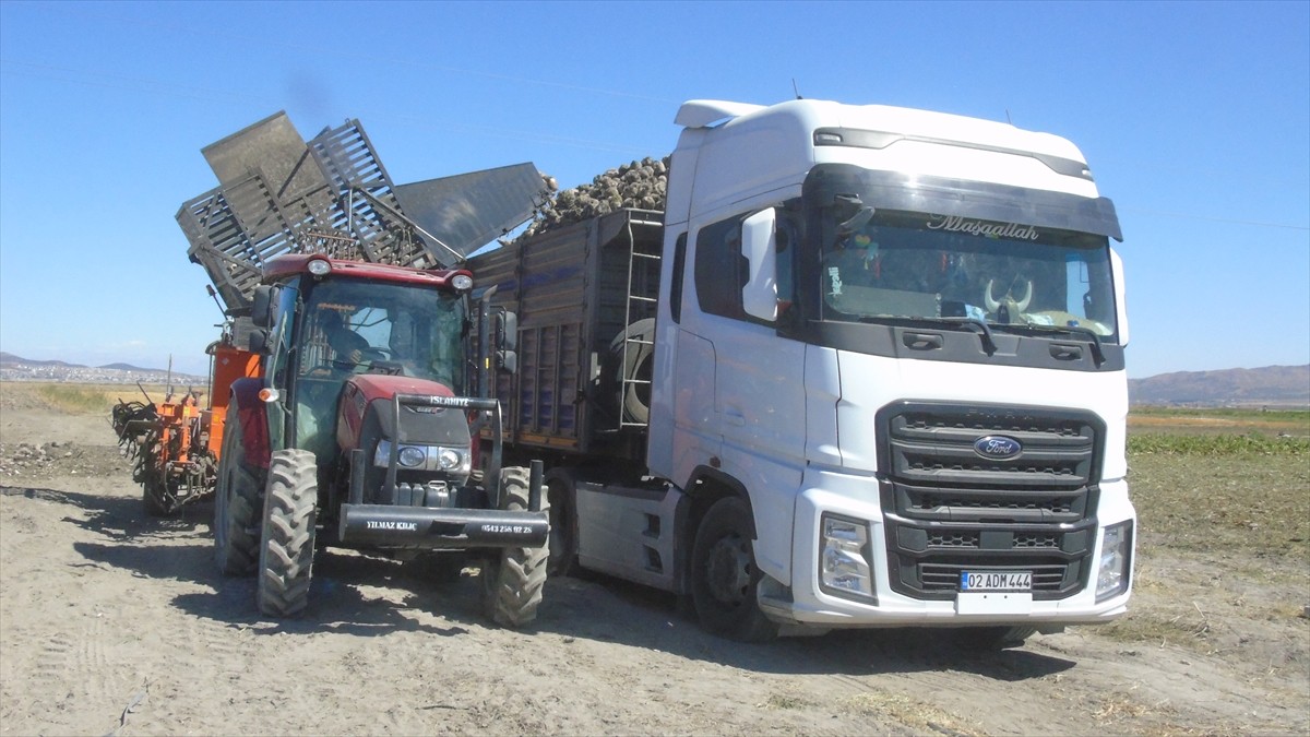 Gaziantep'in İslahiye ve Nurdağı ilçelerinde yaklaşık 9 bin 228 dönüm alanda ekili olan şeker...