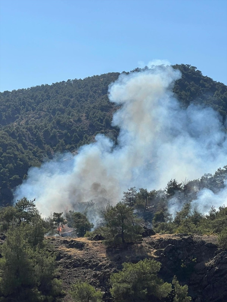 Gaziantep'in Nurdağı ilçesinde çıkan orman yangınında 1 hektar alan zarar gördü.