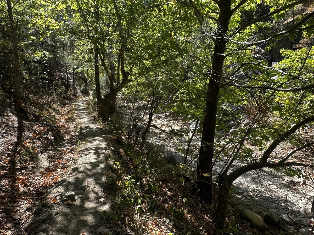 Isparta'nın Aksu ilçesi Yaka Kanyonu'ndaki sular kuraklık nedeniyle kuruma tehlikesiyle karşı...