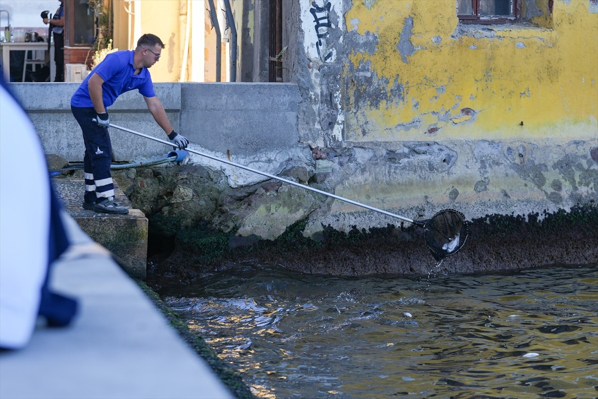 İzmir Körfezi'nde ağustos ayında yeniden başlayan balık ölümleri devam ediyor. Cumhuriyet Meydanı...