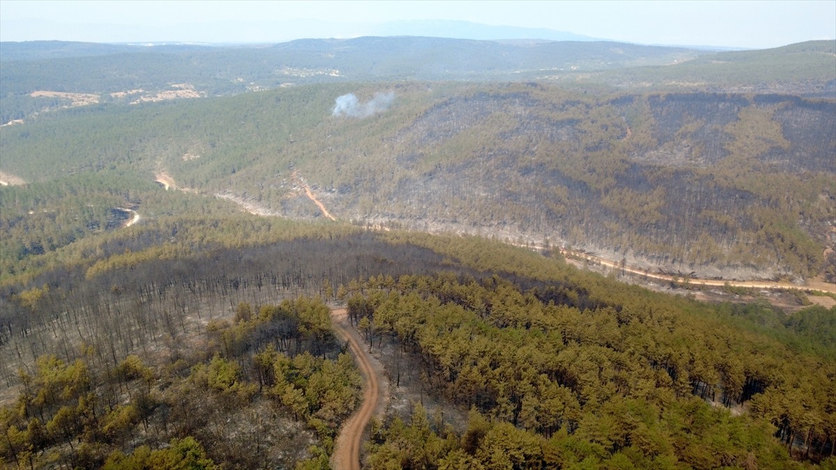 Karabük'te ormanlık alanda çıkan yangını söndürmek için çalışmalar devam ediyor. Eflani ilçesi...