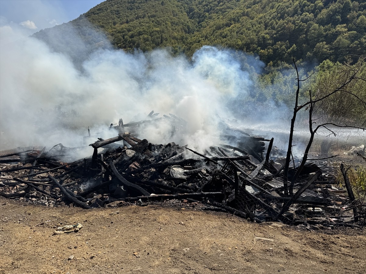 Karabük'ün Safranbolu ilçesinde evde çıkıp ormana sıçrayan yangını söndürme çalışmaları...