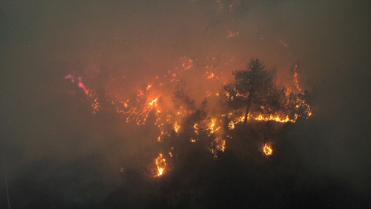 Kastamonu'nun Araç ilçesi Karabük sınırında ormanlık alanda yangın çıktı. Akgeçit köyü Karasu...