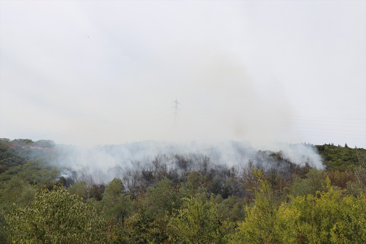 Kocaeli'nin İzmit ilçesinde ormanlık alanda çıkan yangın havadan ve karadan müdahaleyle kontrol...
