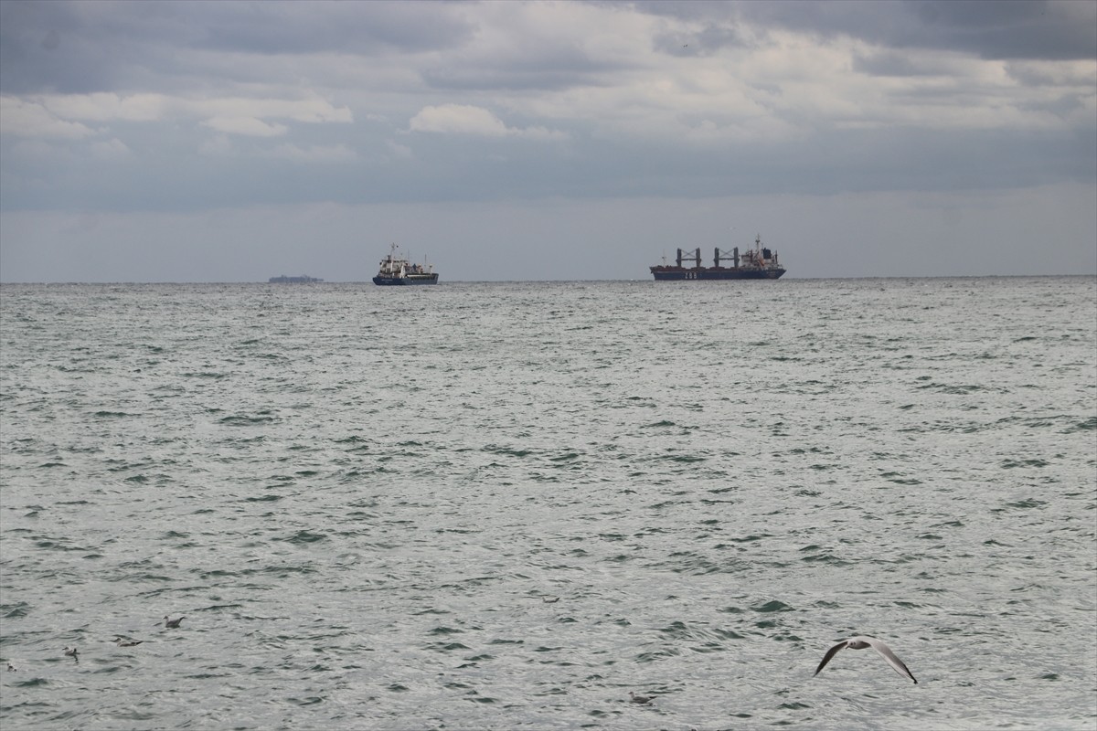 Marmara Denizi'nde 3 gündür etkili olan poyraz, Tekirdağ'da deniz ulaşımında aksamalara yol...