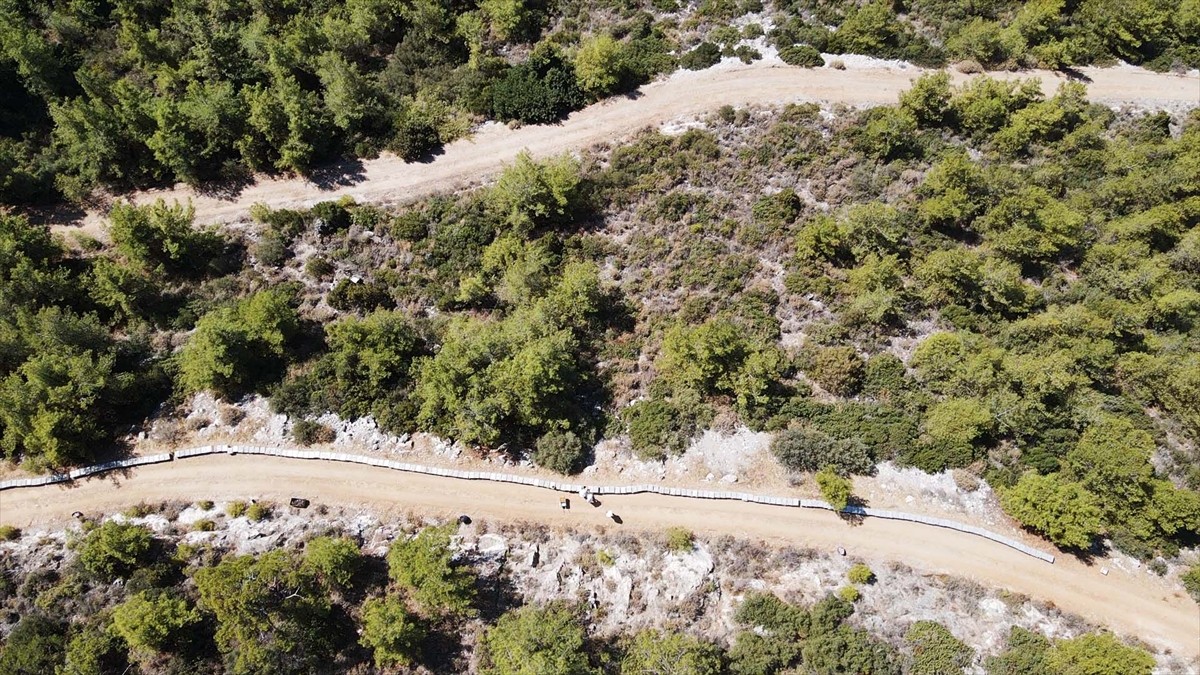 Muğla'nın Bodrum ilçesinde yaşayan Ahmet Yılmaz ile ziraat mühendisi oğlu Mehmet Yılmaz, ata...