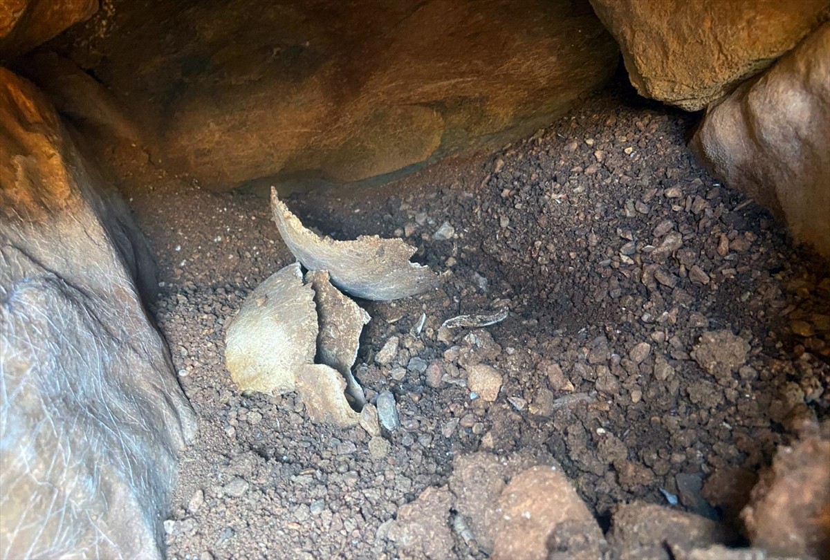 Muğla'nın Menteşe ilçesinde, su deposu çalışması sırasında ortaya çıkan mezarlarda dönemi henüz...