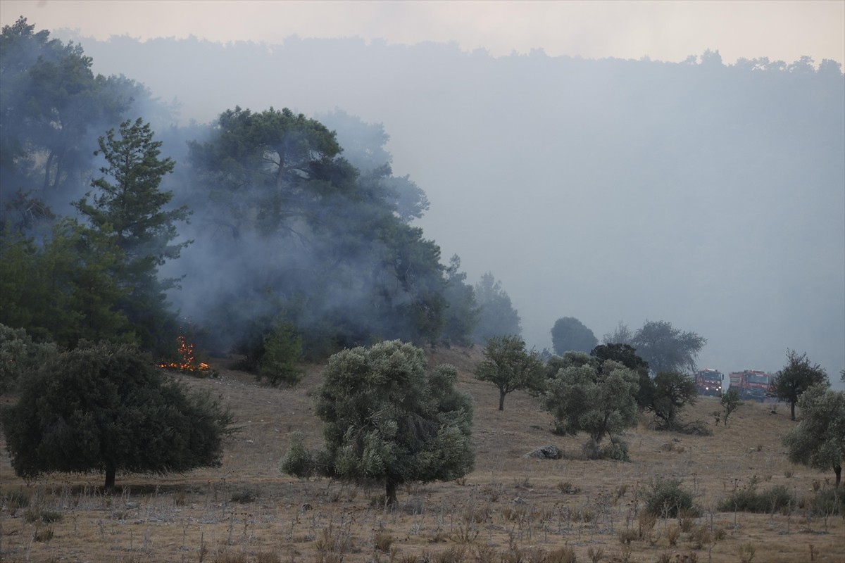 Muğla'nın Milas ilçesinde çıkan orman yangınına müdahale ediliyor. Günün ağarmasıyla hava araçları...