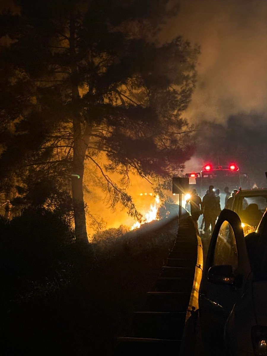 Muğla'nın Ula ilçesinde çıkan orman yangını karadan müdahaleyle kontrol altına alındı.