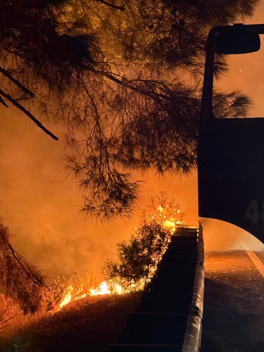 Muğla'nın Ula ilçesinde çıkan orman yangını karadan müdahaleyle kontrol altına alındı.