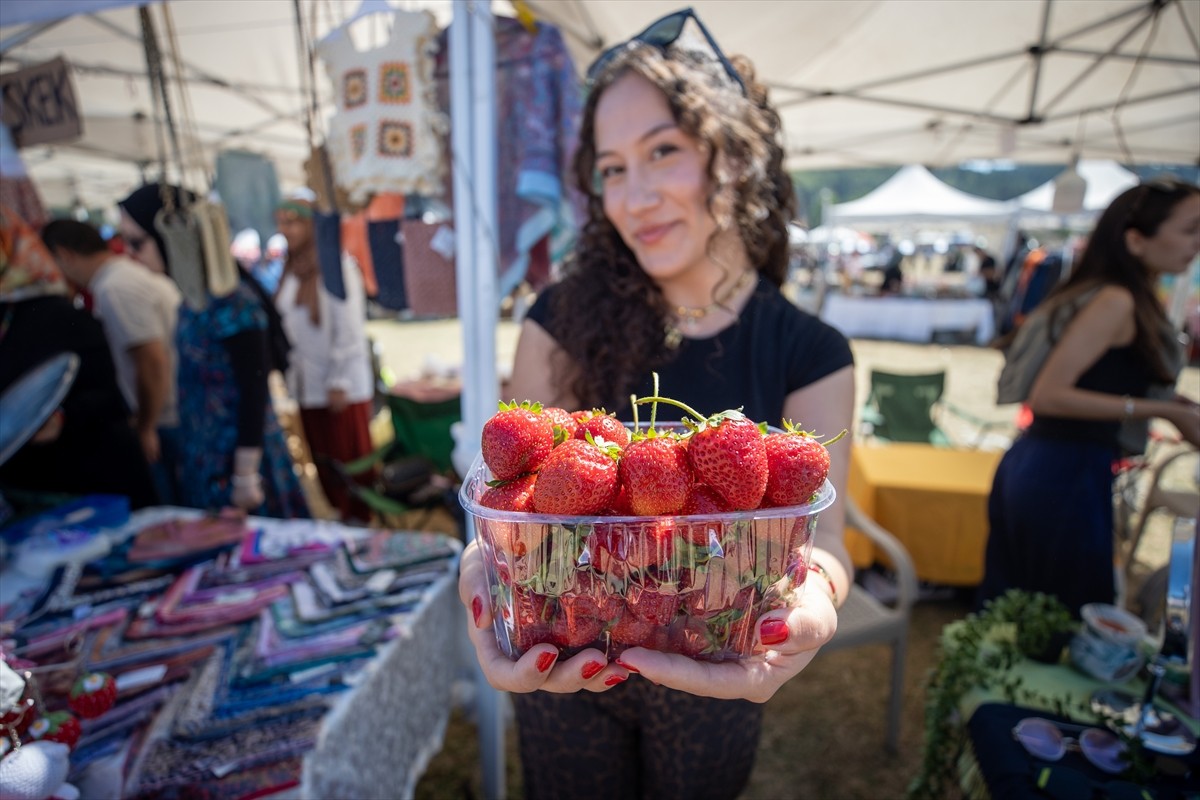 Sakarya'nın Pamukova ilçesinde çeşitli etkinliklerle Çilek Festivali düzenlendi. Çilekli...