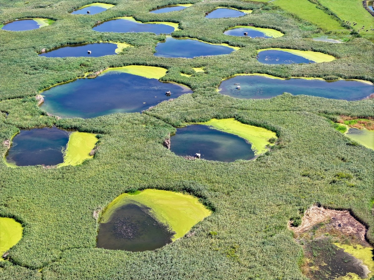 Şiddetli kuraklık nedeniyle pek çok su kaynağının kuruma noktasına geldiği Edirne'de bulunan...
