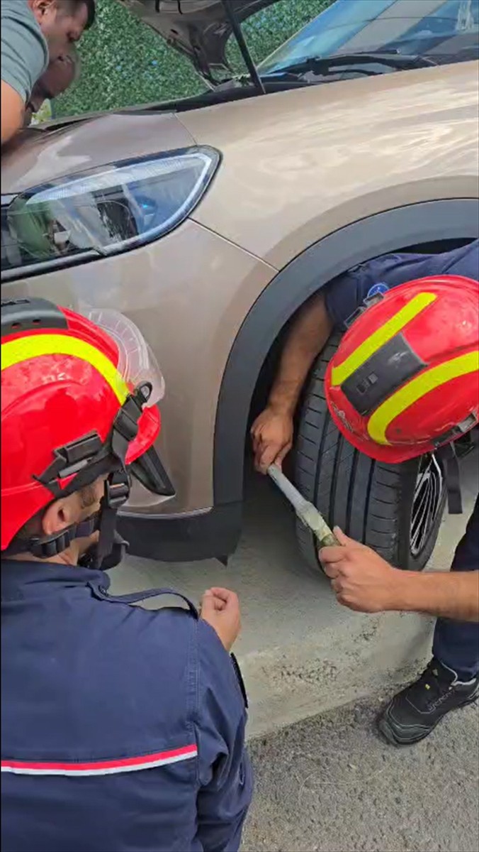 Silivri'de bir cipin motor kısmında dünyaya gelen 6 kedi, itfaiye ekiplerince kurtarıldı.