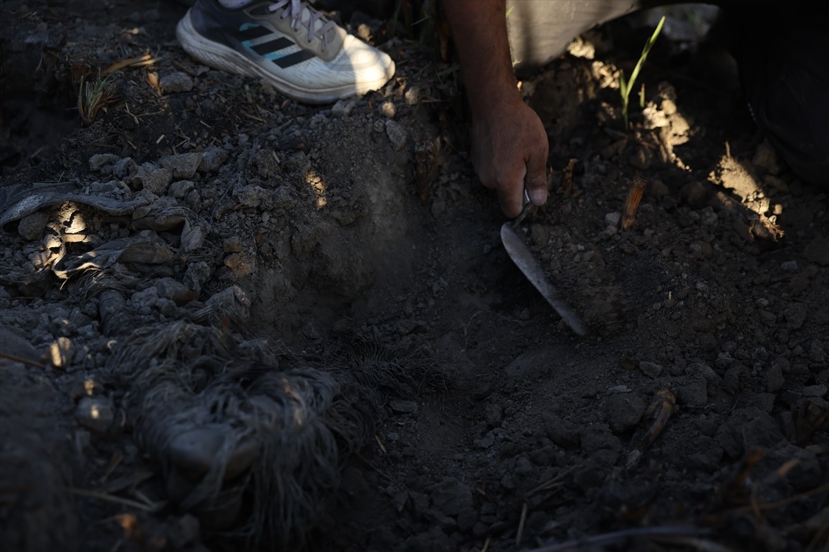 Suriye'nin başkenti Şam'ın Ateybe bölgesinde dün tespit edilen toplu mezardan 75 kişiye ait ceset...