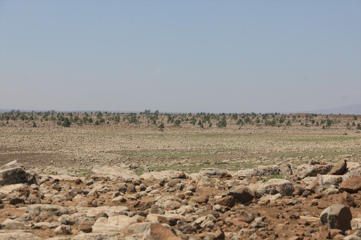Suriye'nin önemli gıda ambarlarından biri olarak bilinen ülkenin güneyinde kuraklık, iklim...