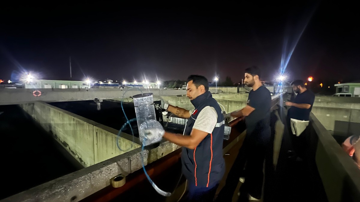 Tekirdağ Çevre, Şehircilik ve İklim Değişikliği Müdürlüğü, yaklaşık 3 aydır Ergene ilçesinde devam...