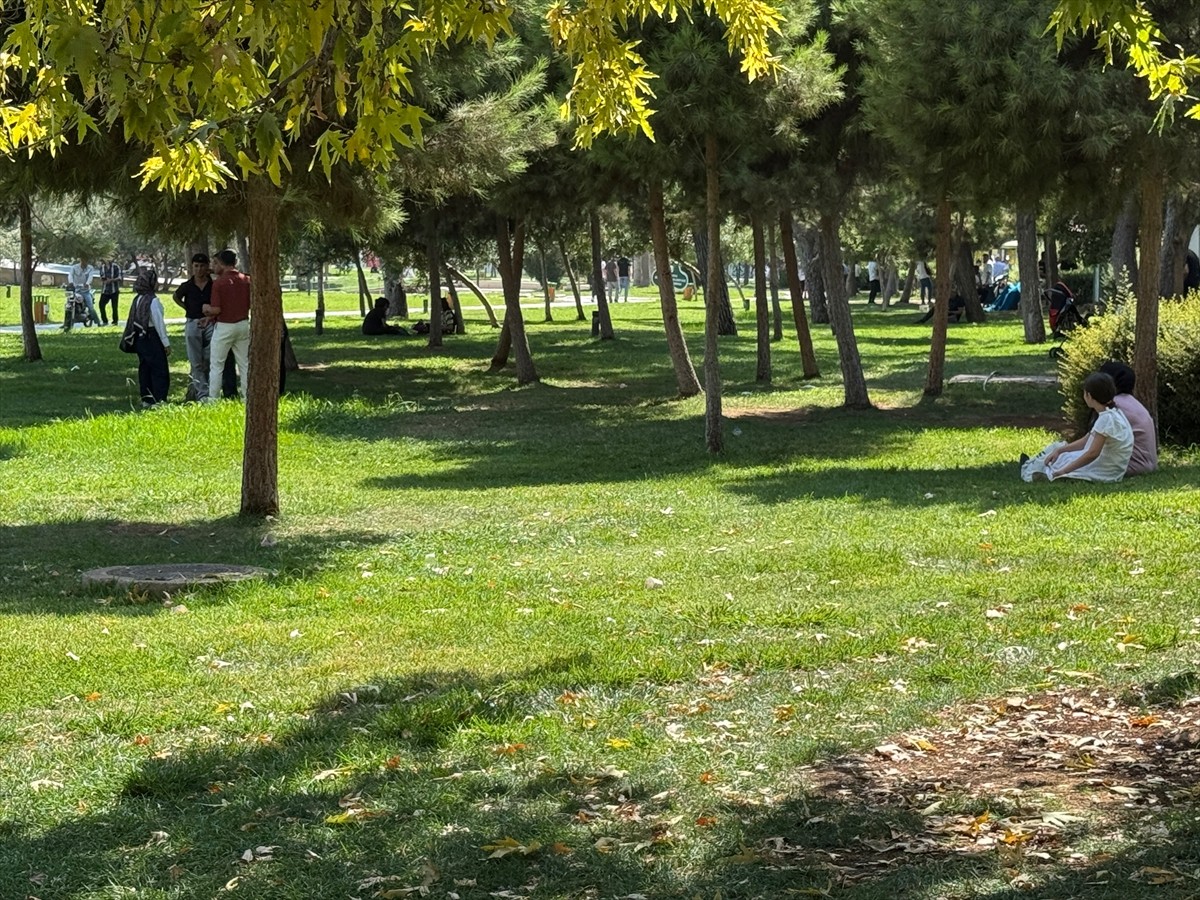 Türkiye'de sıcaklığın en yüksek ölçüldüğü kentlerden Şanlıurfa'da termometreler 49 dereceyi...