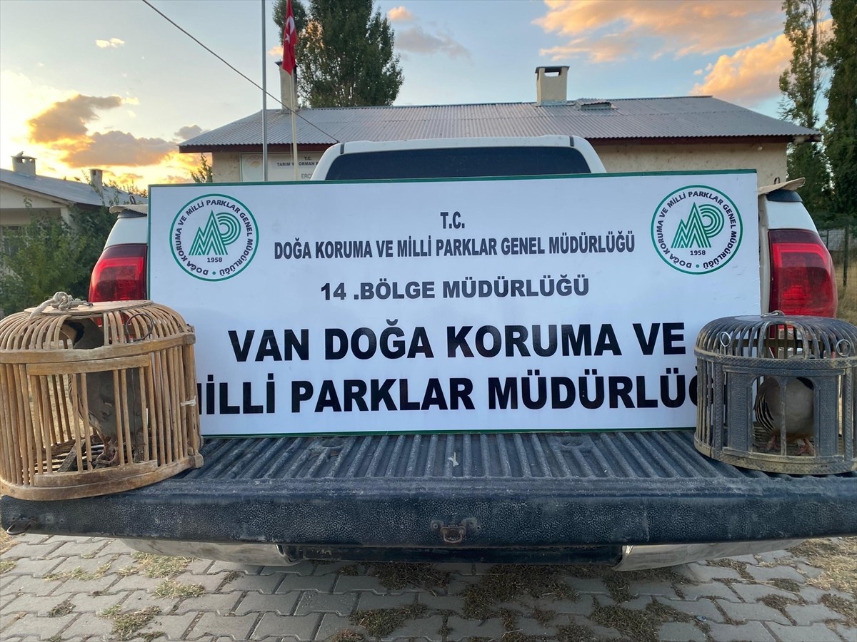 Van'da kaçak avladığı kekliklerle yakalanan bir kişiye 48 bin 883 lira ceza verildi.