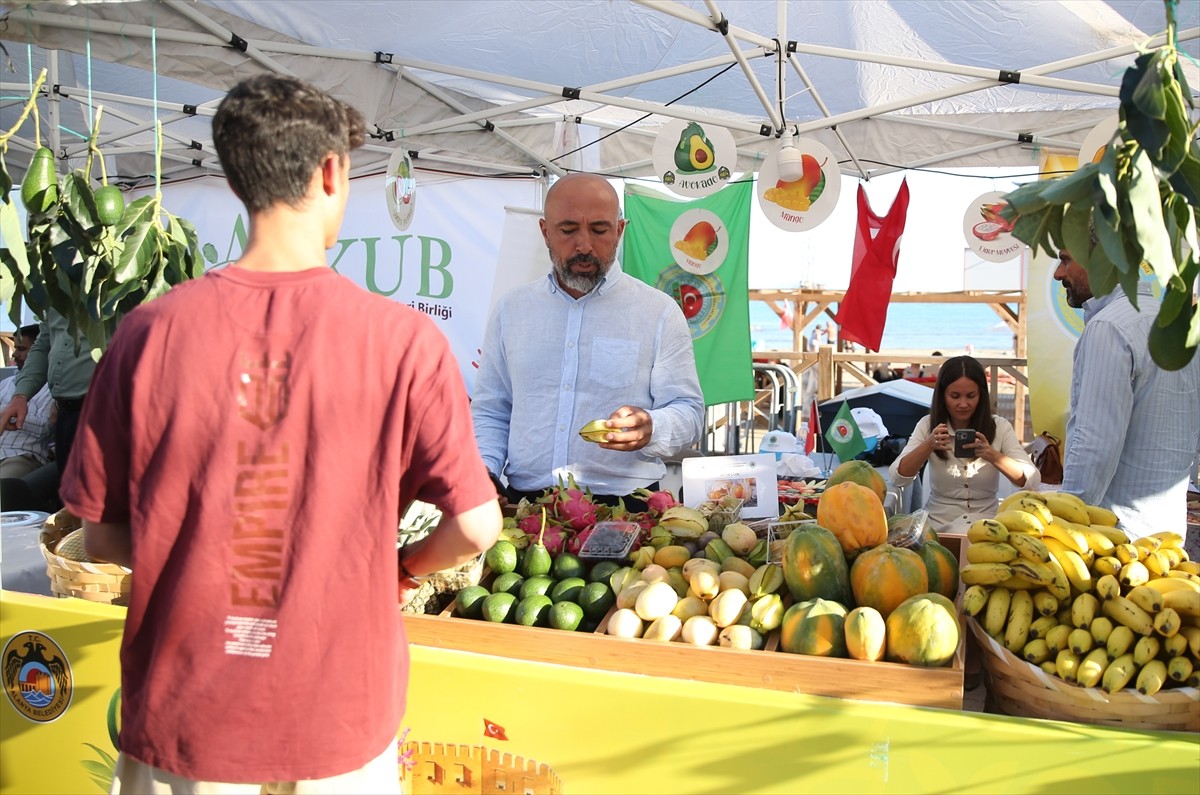 Antalya'nın Alanya ilçesinde bu yıl 4’üncüsü düzenlenen Alanya Tropikal Meyve Festivali başladı....