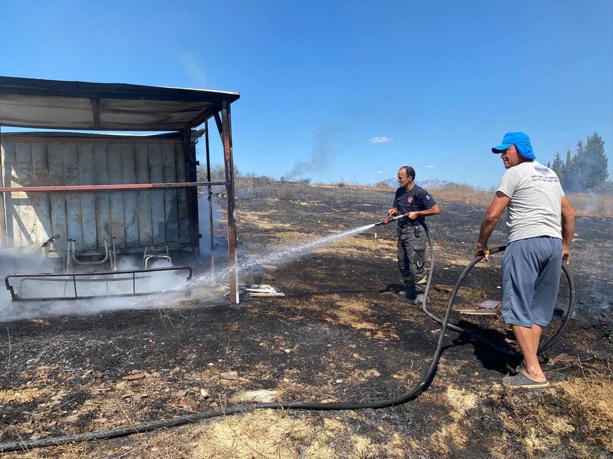 Antalya'nın Serik ilçesinde güvercin kulübesinde çıkan yangında 25 güvercin telef oldu.